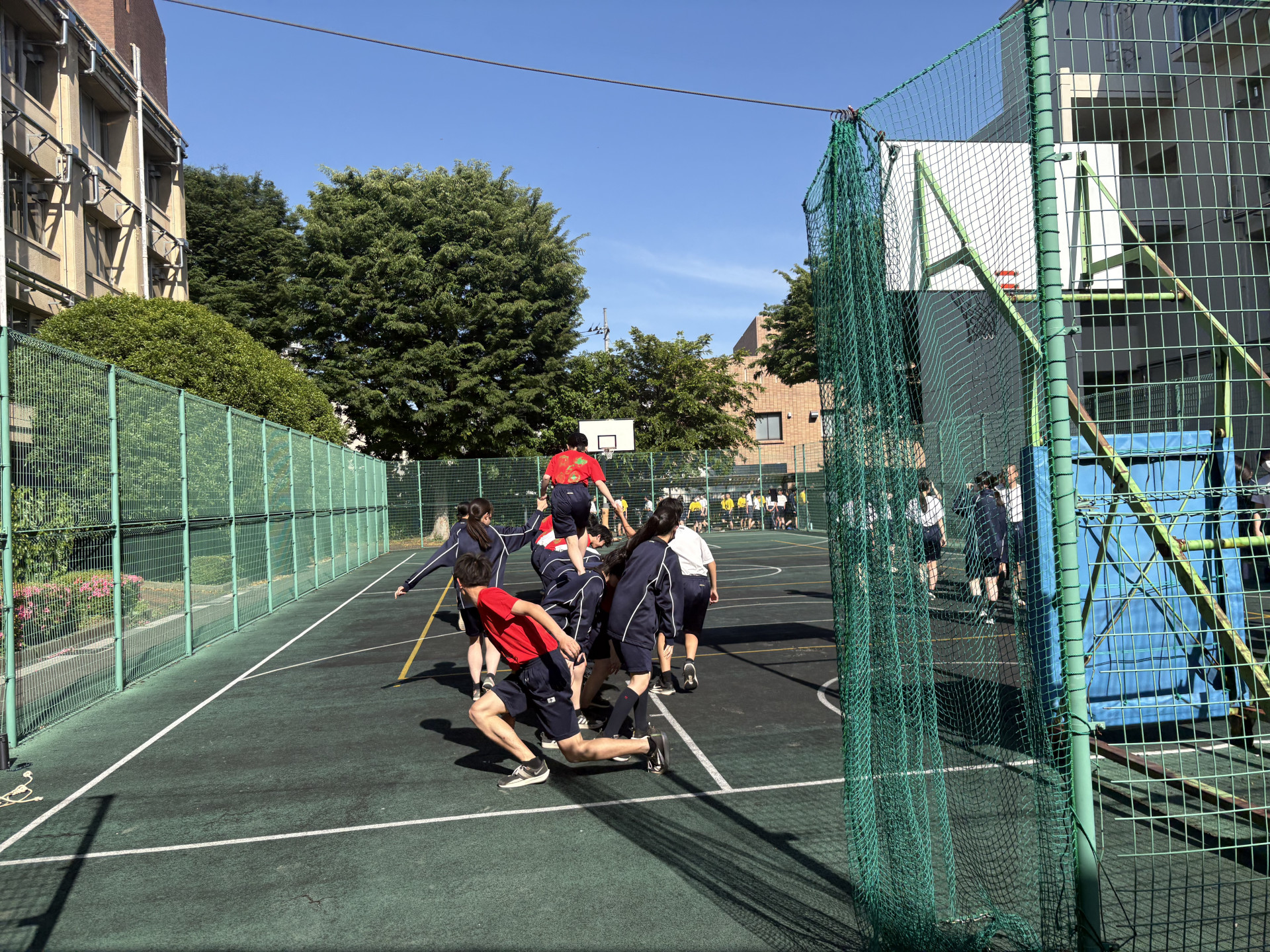 画像 -20260511-061255-dd675586